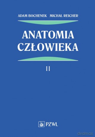 Anatomia człowieka (Tom 2) - Adam Bochenek, Michał Reicher [KSIĄŻKA]