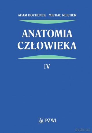 Anatomia człowieka (Tom 4) - Adam Bochenek, Michał Reicher [KSIĄŻKA]