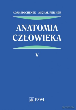 Anatomia człowieka (Tom 5) - Adam Bochenek, Michał Reicher [KSIĄŻKA]