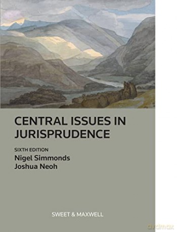 Central Issues in Jurisprudence: Justice, Law and Rights - Nigel Simmonds [KSIĄŻKA]