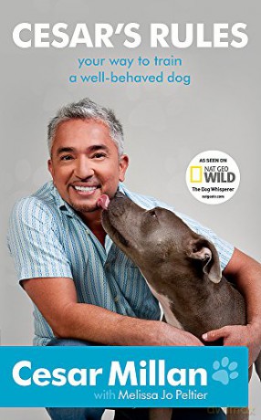 Cesar's Rules - Cesar Millan [KSIĄŻKA]