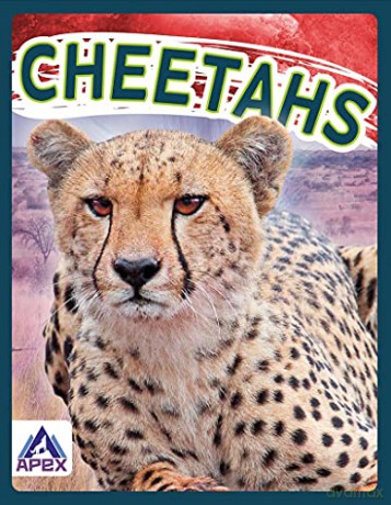 Cheetahs (Wild Cats) - Sophie Geister-Jones [KSIĄŻKA]