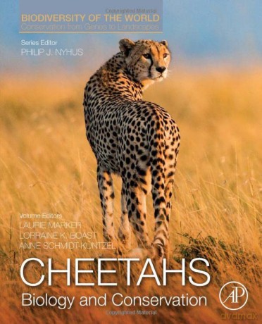 Cheetahs: Biology and Conservation: Biodiversity of the World: Conservation from Genes to Landscapes - Laurie Marker [KSIĄŻKA]