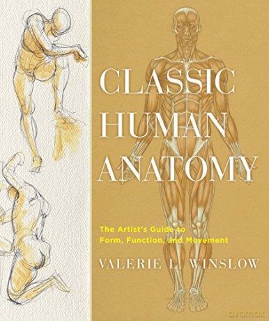Classic Human Anatomy: The Artist's Guide to Form, Function, and Movement - Valerie L. Winslow [KSIĄŻKA]