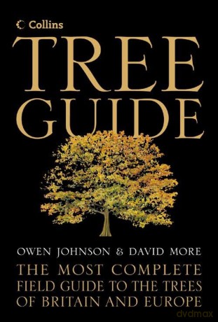 Collins Tree Guide - David More [KSIĄŻKA]