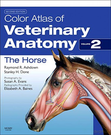 Color Atlas of Veterinary Anatomy, Volume 2, The Horse, 2e - Raymond R. Ashdown BVSc PhD MRCVS [KSIĄŻKA]
