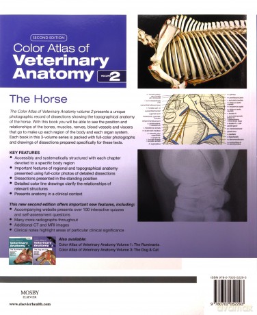 Color Atlas of Veterinary Anatomy, Volume 2, The Horse, 2e - Raymond R. Ashdown BVSc PhD MRCVS [KSIĄŻKA]