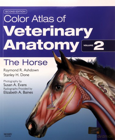 Color Atlas of Veterinary Anatomy, Volume 2, The Horse, 2e - Raymond R. Ashdown BVSc PhD MRCVS [KSIĄŻKA]