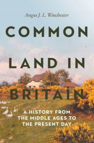 Common Land in Britain: A History from the Middle Ages to the Present Day (Garden and Landscape History) - Angus J L Winchester [KSIĄŻKA]