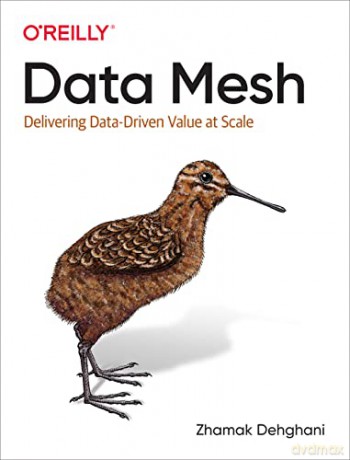 Data Mesh: Delivering Data-Driven Value at Scale - Zhamak Dehghani [KSIĄŻKA]