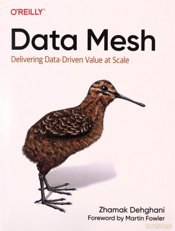 Data Mesh: Delivering Data-Driven Value at Scale - Zhamak Dehghani [KSIĄŻKA]