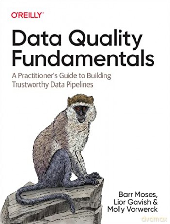 Data Quality Fundamentals: A Practitioner's Guide to Building Trustworthy Data Pipelines - Barr Moses [KSIĄŻKA]