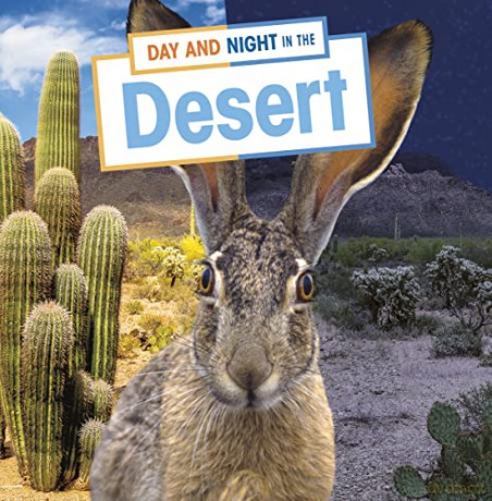 Day and Night in the Desert (Habitat Days and Nights) - Ellen Labrecque [KSIĄŻKA]