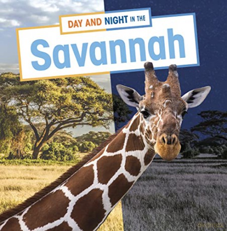 Day and Night in the Savanna (Habitat Days and Nights) - Mary Boone [KSIĄŻKA]