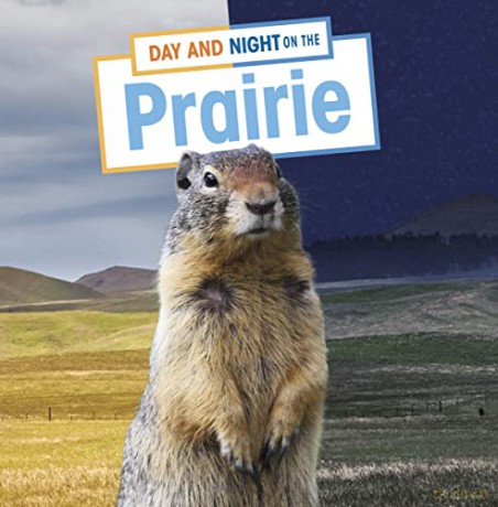 Day and Night on the Prairie (Habitat Days and Nights) - Ellen Labrecque [KSIĄŻKA]