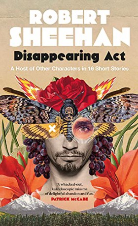 Disappearing Act: A Multitude of Other Stories: A Host of Other Characters in 16 Short Stories - Robert Sheehan [KSIĄŻKA]