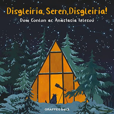 Disgleiria, Seren, Disgleiria!: 3 (Crwydriaid y Gwyllt) - Dom Conlon, [KSIĄŻKA]