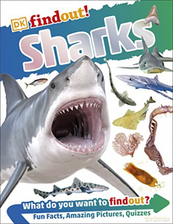 DKfindout! Sharks [KSIĄŻKA]