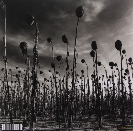 Dead Can Dance: Anastasis [2xWinyl]