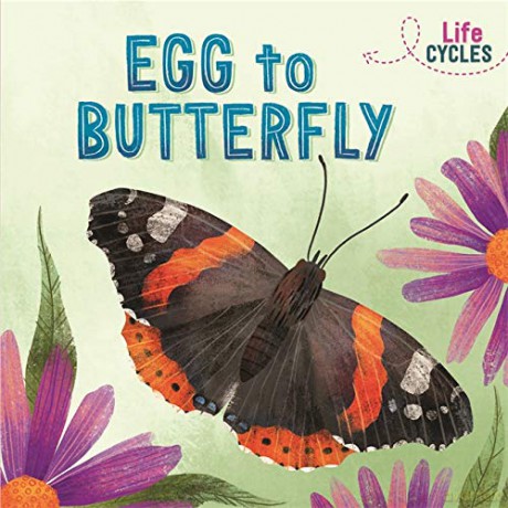 Egg to Butterfly - Rachel Tonkin [KSIĄŻKA]