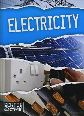 Electricity (Science in Action) - oanna Brundle [KSIĄŻKA]