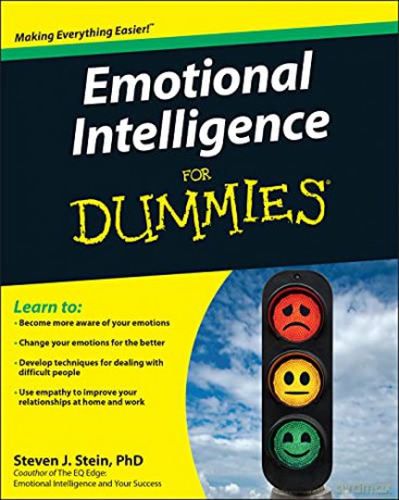 Emotional Intelligence For Dummies - Steven J. Stein [KSIĄŻKA]