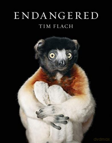 Endangered - Tim Flach [KSIĄŻKA]
