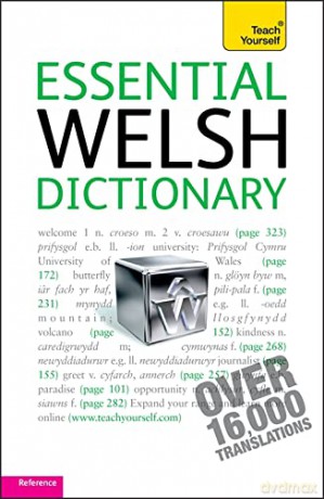 Essential Welsh Dictionary: Teach Yourself - Edwin Lewis [KSIĄŻKA]