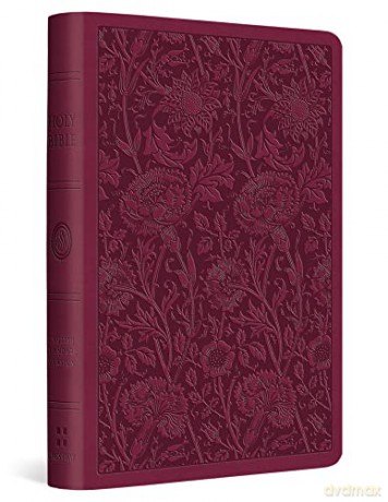 ESV Value Compact Bible [KSIĄŻKA]