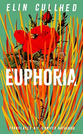 Euphoria - Elin Cullhed [KSIĄŻKA]