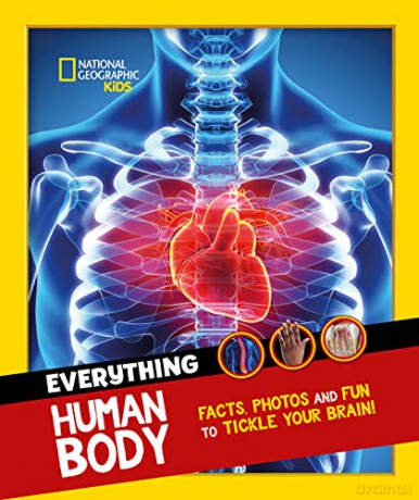 Everything: Human Body: Eye-opening facts and photos to tickle your brain! (National Geographic Kids) - National Geographic Kids [KSIĄŻKA]