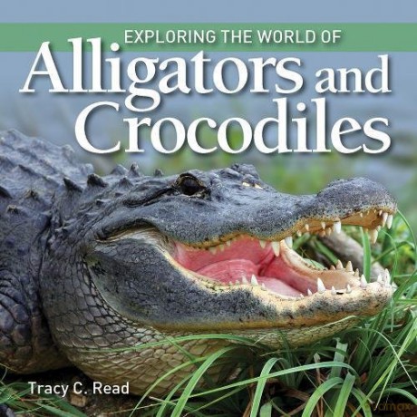 Exploring the World of Alligators and Crocodiles - Tracy C. Read [KSIĄŻKA]