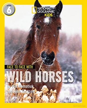 Face to Face with Wild Horses: Level 6 (National Geographic Readers) - Yva Momatiuk [KSIĄŻKA]