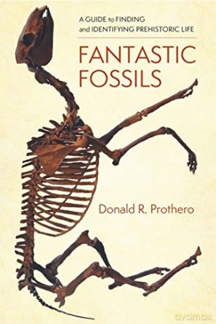 Fantastic Fossils: A Guide to Finding and Identifying Prehistoric Life - Prothero [KSIĄŻKA]