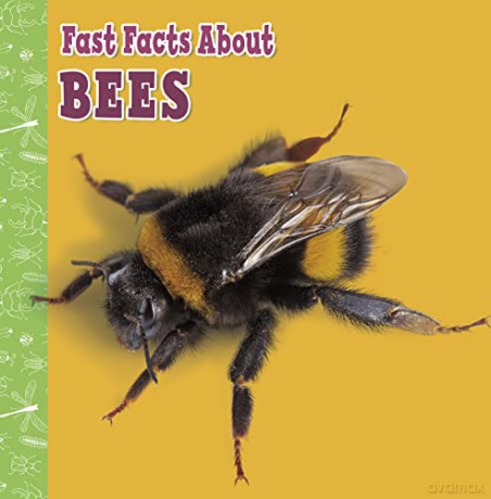 Fast Facts About Bees (Fast Facts About Insects and Spiders) - Lisa J. Amstutz [KSIĄŻKA]