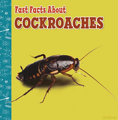 Fast Facts About Cockroaches (Fast Facts About Insects and Spiders) - Lisa J. Amstutz [KSIĄŻKA]