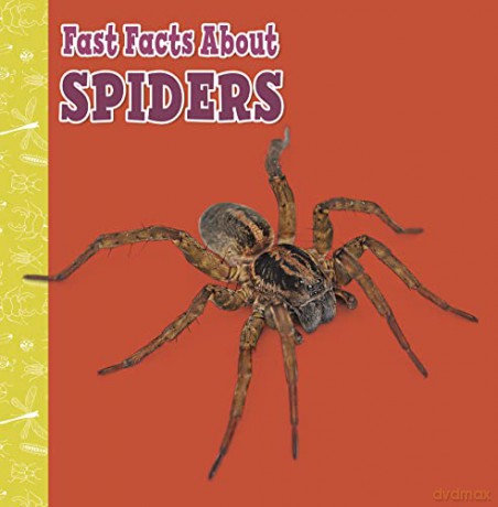 Fast Facts About Spiders (Fast Facts About Insects and Spiders) - Julia Garstecki-Derkovitz [KSIĄŻKA]