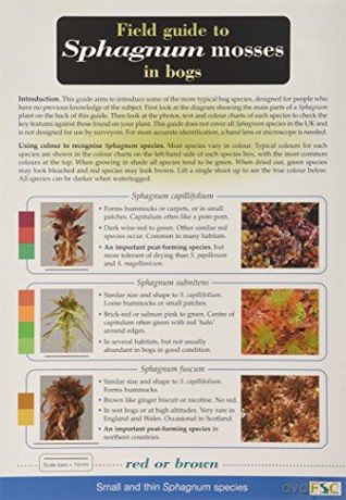 Field Guide to Sphagnum Mosses in Bogs - Ros Tratt [KSIĄŻKA]