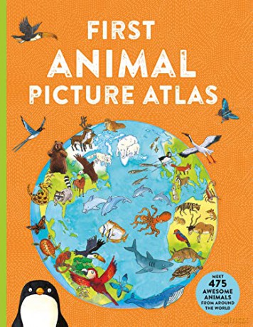First Animal Picture Atlas: Meet 475 Awesome Animals From Around the World - Deborah Chancellor [KSIĄŻKA]
