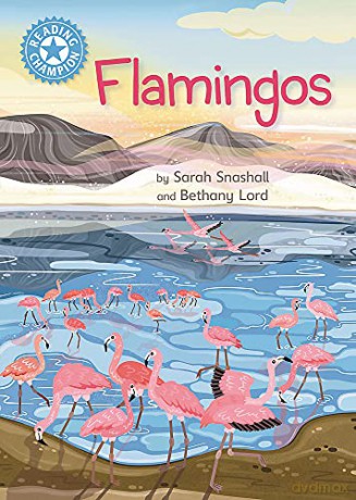 Flamingos: Independent Reading Non-Fiction Blue 4 (Reading Champion) - Sarah Snashall [KSIĄŻKA]