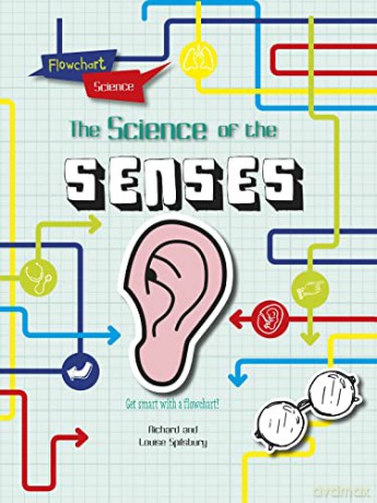 Flowchart Science: The Human Body: The Senses - Richard Spilsbury [KSIĄŻKA]