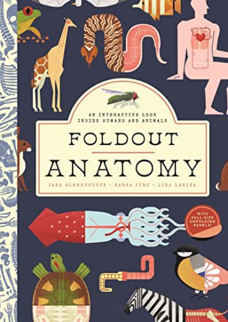 Foldout Anatomy: An Interactive Look Inside Humans and Animals [KSIĄŻKA]