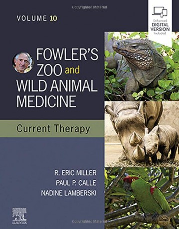Fowler's Zoo and Wild Animal Medicine Current Therapy,Volume 10 - Eric R. Miller DVM DACZM DECZM (Hon. - ZHM [KSIĄŻKA]