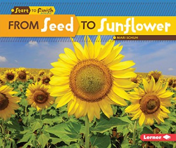From Seed to Sunflower (Start to Finish, Second) - Mari C Schuh [KSIĄŻKA]