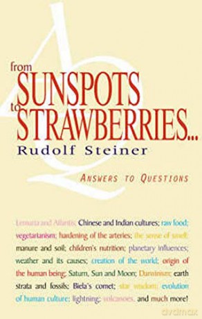 From Sunspots to Strawberries: Answers to Questions - Rudolf Steiner [KSIĄŻKA]