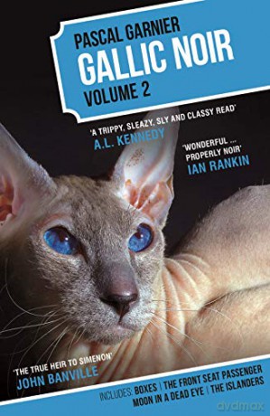 Gallic Noir Volume 2: Boxes, The Front Seat Passenger, The Islanders, Moon in a Dead Eye - Pascal Garnier [KSIĄŻKA]