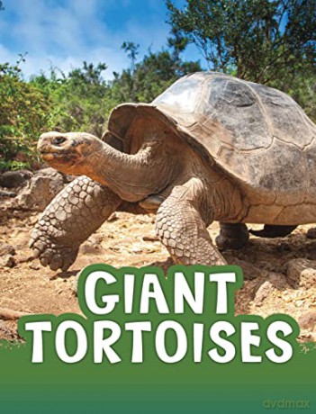 Giant Tortoises (Animals) - Jaclyn Jaycox [KSIĄŻKA]