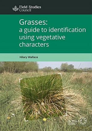 Grasses: a guide to identification using vegetative characters - Hilary Wallace [KSIĄŻKA]