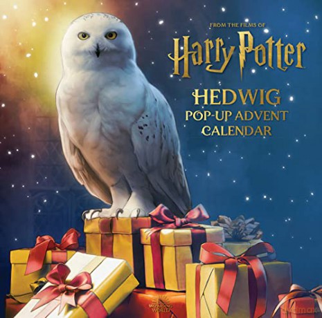 Harry Potter: Hedwig Pop-up Kalendarz Adwentowy - Matthew Reinhart [KSIĄŻKA]