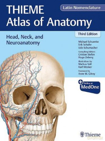 Head, Neck, and Neuroanatomy (THIEME Atlas of Anatomy), Latin Nomenclature: 3 - Michael Schuenke [KSIĄŻKA]
